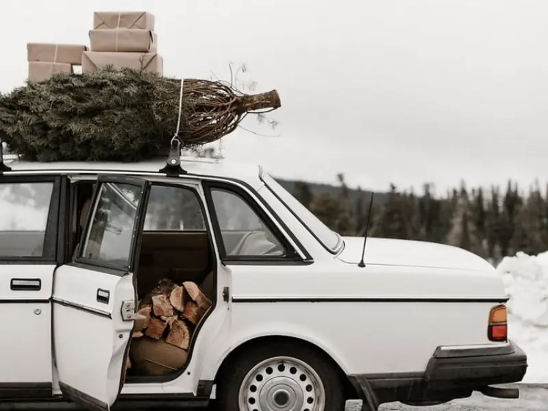 Gratis kerstboom